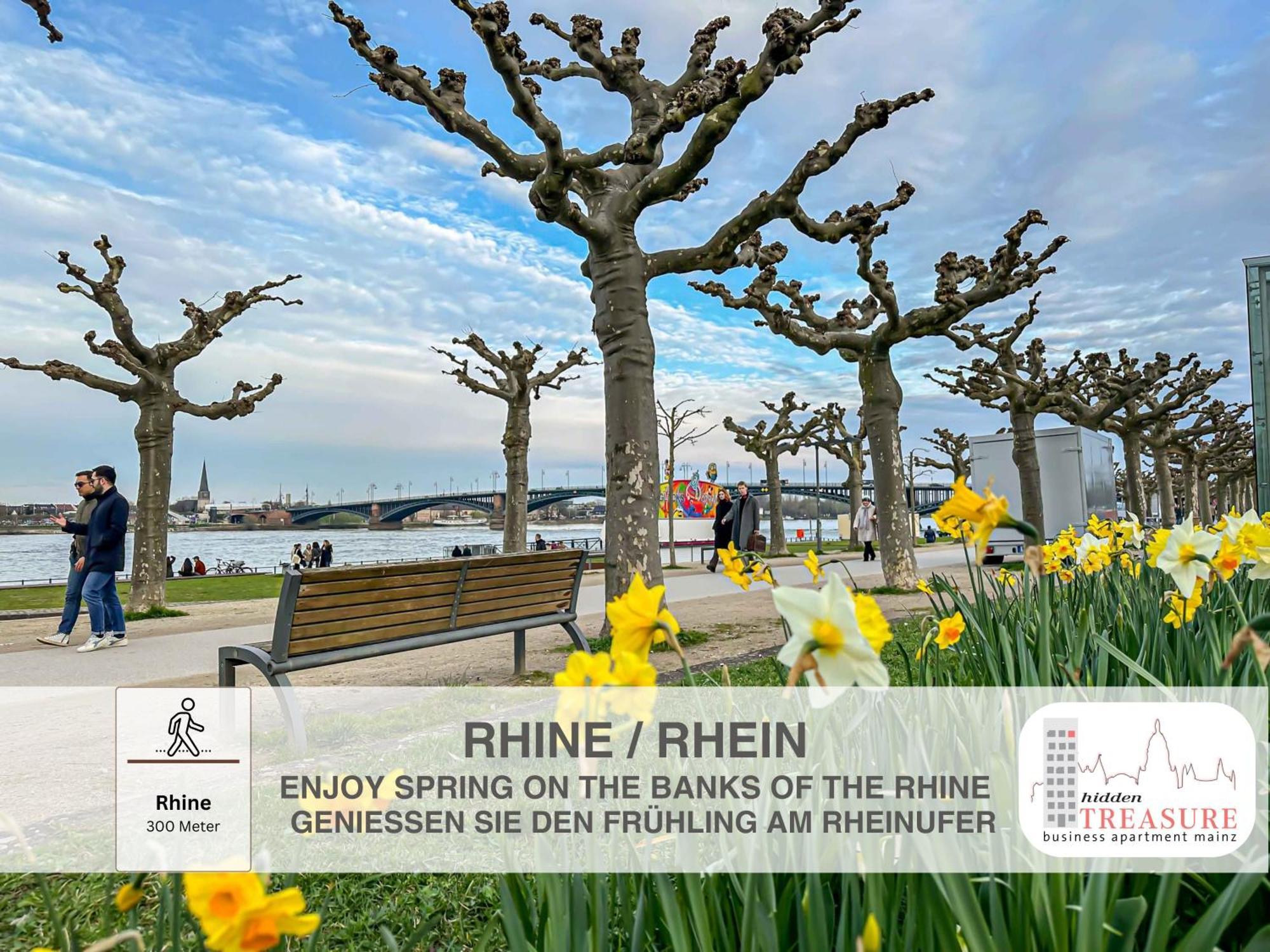 Hidden Treasure Business Apartment Mainz - Fantastic Rhine View In Center Of Mainz Old Town Exterior photo